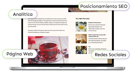 Mantén tu web posicionada gracias al Kit Digital.